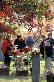 France, Essonne (91), château de Courson, 2 fois par an a lieu une ìgrande journée des plantes